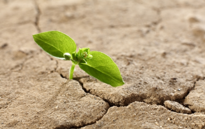 土壤肥料檢測儀怎么用？